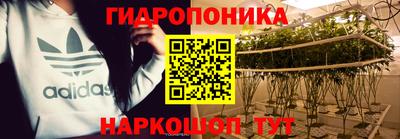 мдпв Партизанск