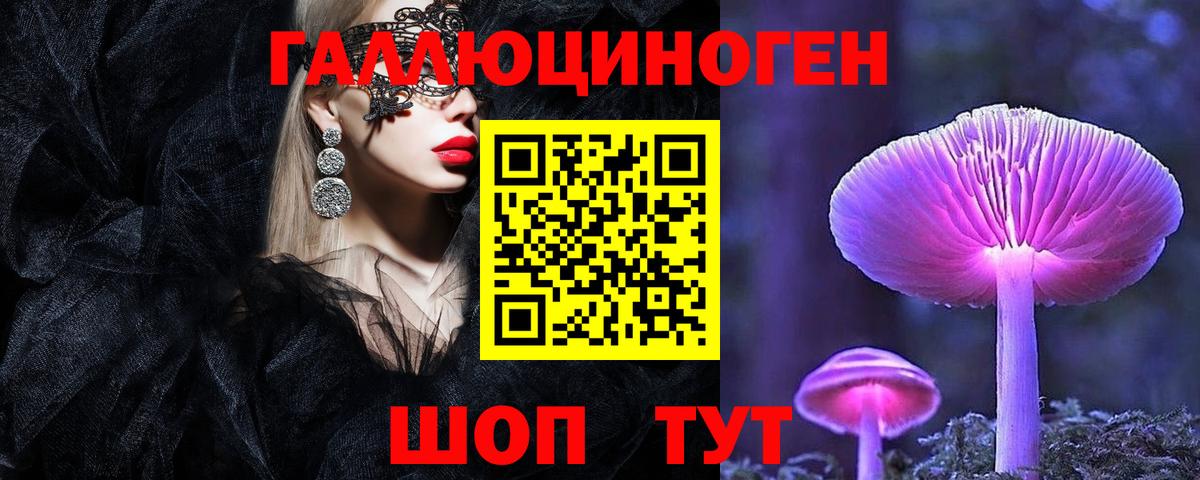 Галлюциногенные грибы Cubensis  Псилоцибиновые грибы MAGIC MUSHROOMS  Углич  Вход с VPN 